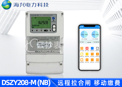 杭州海興DSZY208-M無線NB預(yù)付費電能表